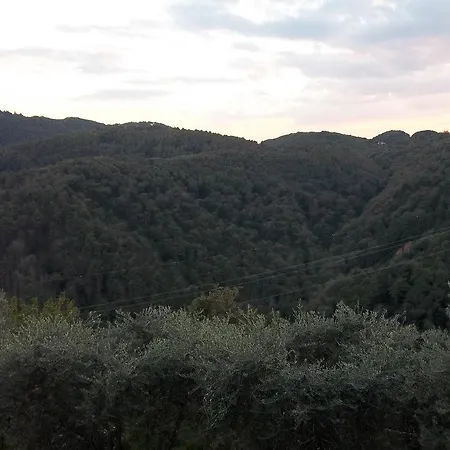 Apartamento Caddelovi