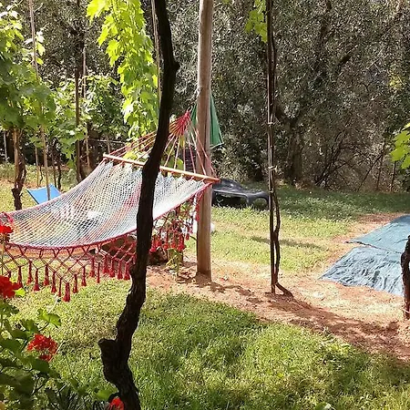 Caddelovi Fibbialla