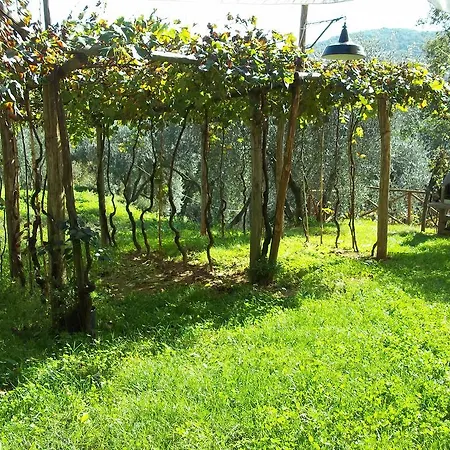 Caddelovi Apartment *