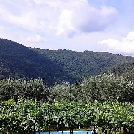 Apartment Caddelovi *