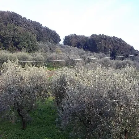 Apartment Caddelovi *